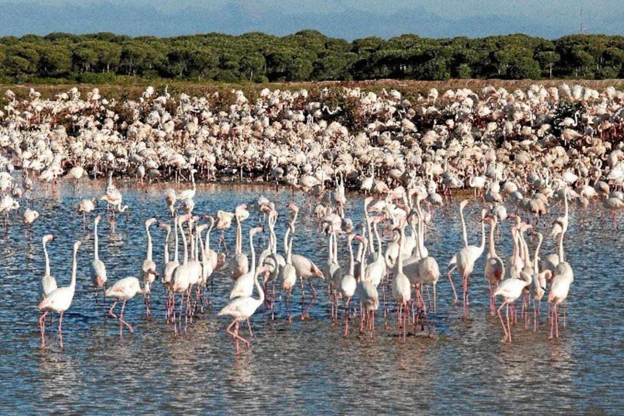 Tres Dormitorios Vistas Al Mar Junto A La Playa Пунта-Умбрия Экстерьер фото